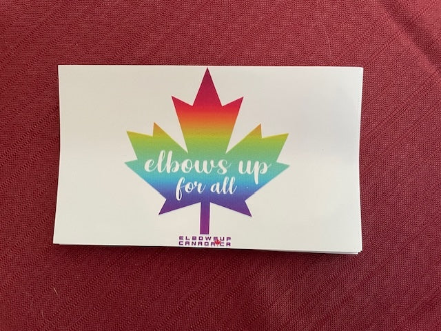 Choice of 2 Designs - Pride Stickers